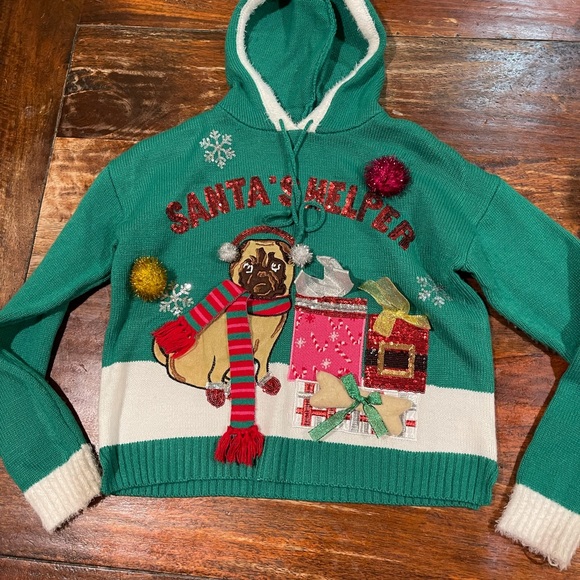 Hooded Christmas Pug sweater with sparkles and Pom poms. XS. Green. - Picture 2 of 2